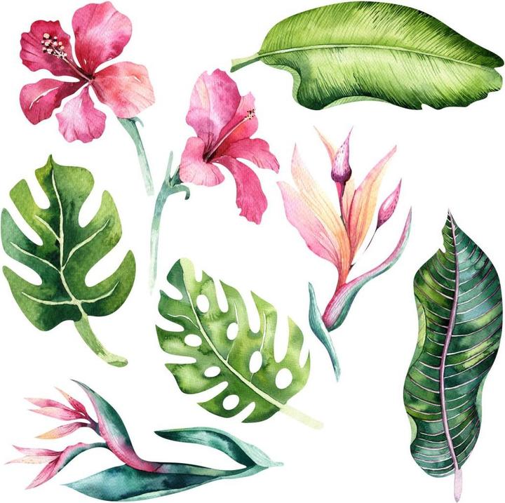 Immagine prodotto Trenddeko Piante tropicali (60 x 60 cm)