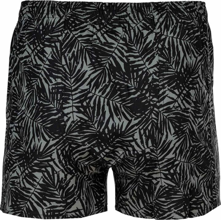 Produktbild Happy shorts Web-Boxershorts Casual Bequem sitzend (L, Einzelpack)