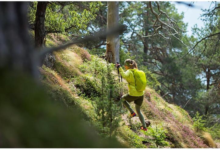 Image du produit Salewa Carbonium Alp Speed Poles (46 - 130 cm)