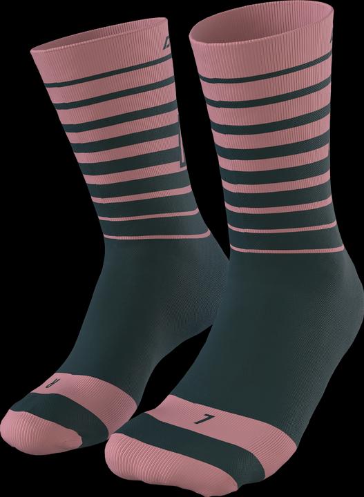 Image du produit Dynafit Chaussettes Live To Ride (43 - 46)