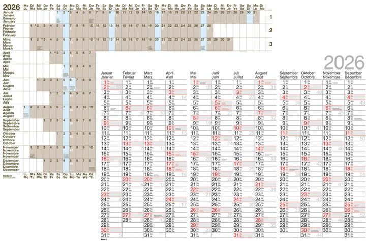 Biella Planning annuale da parete (98 x 68 cm, No binding, German, French)