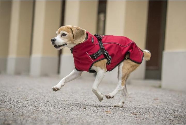 Produktbild Chiara Charlie (Hundeoverall)