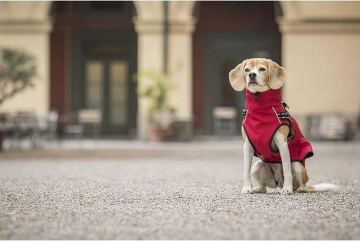 Produktbild Chiara Charlie (Hundeoverall)