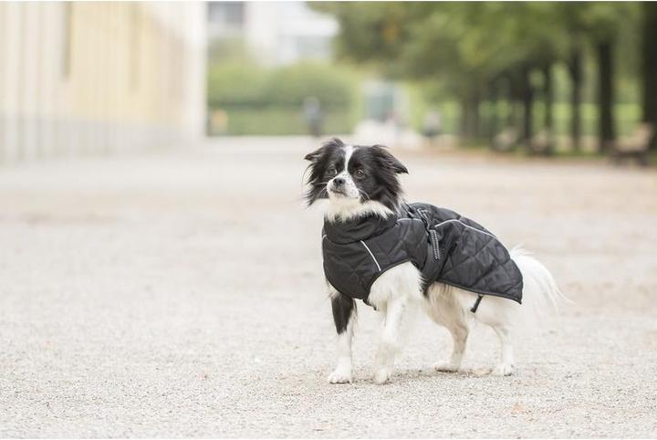 Produktbild Chiara Nelson (XL, Hundemantel)