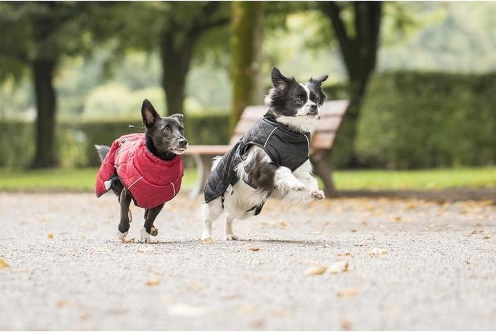 Produktbild Chiara Nelson (XL, Hundemantel)
