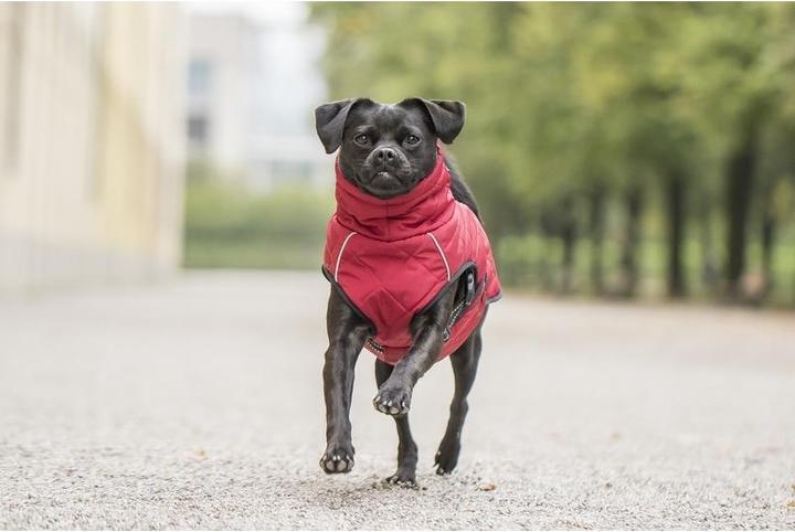 Actual product image Chiara nelson (XL, Dog coat)