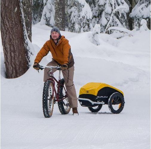 Actual product image Burley Nomad touring trailer