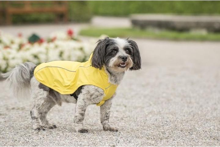 Image du produit Chiara Scotty (XXL, Manteau pour chien)