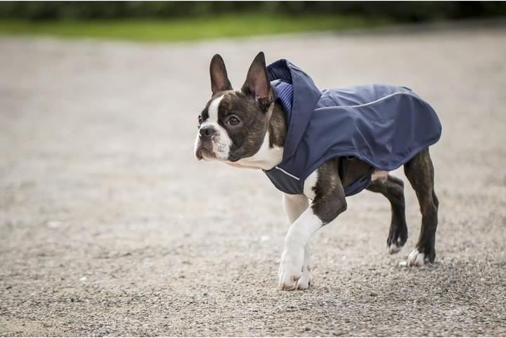 Produktbild Chiara Scotty (XL, Hundemantel)