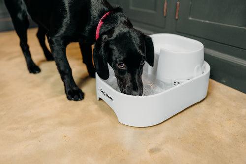 Produktbild Dog Mate Trinkbrunnen (6 l)