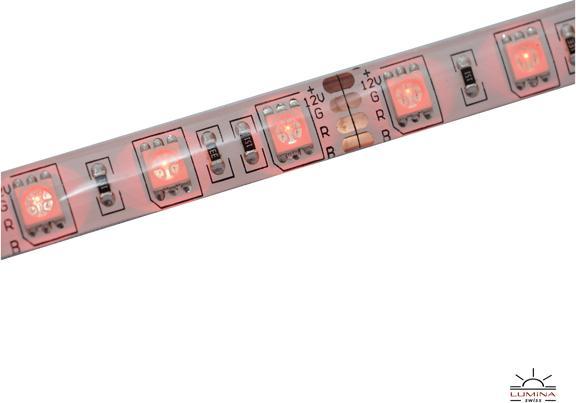 Produktbild Lumina Swiss LED-Streifen Multicolor 5m Premium Outdoor (500 cm, Outdoor)