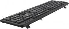 Actual product image Esperanza TK101 Tastatur USB (US, Cable)