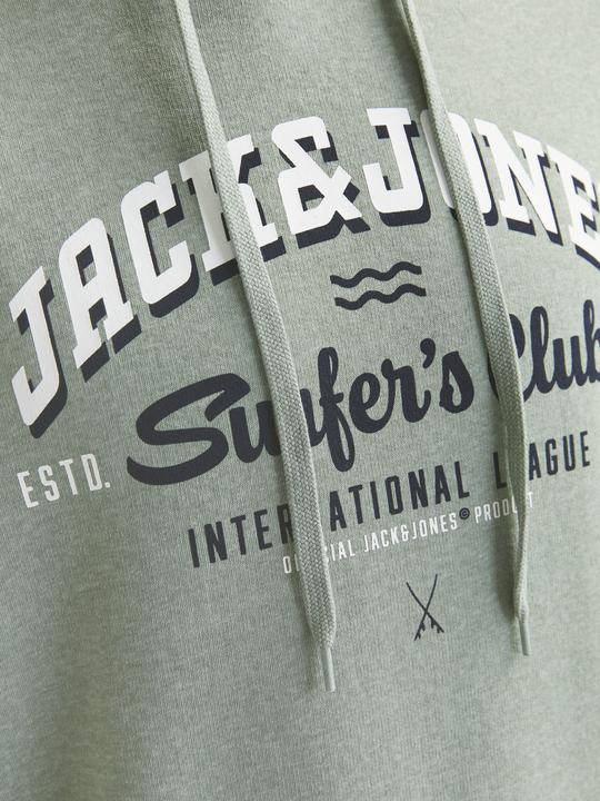 Produktbild Jack & Jones JJELOGO SWEAT HOOD 2 COL 24/25 NOOS (M)