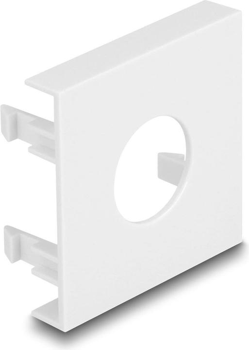 Delock Easy 45 Modulblende Loch-Ausschnitt Ø 19,2 mm, 45 x 45 mm 5 Stück weiss