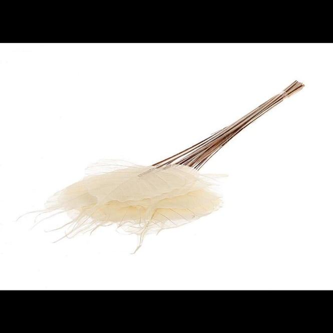 HBX Dekoblätter - ca. 55 cm - creme/braun (55 cm)