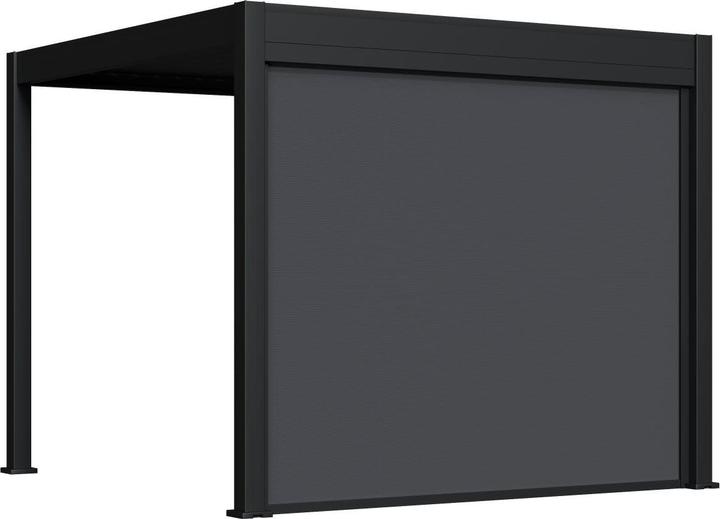 Immagine prodotto Weide Tenda parasole elettrica per salice Pergola elettrica | antracite (248.50 cm, 9 cm)