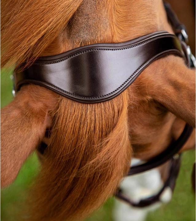 Immagine prodotto Premier Equine briglia snaffle glorioso