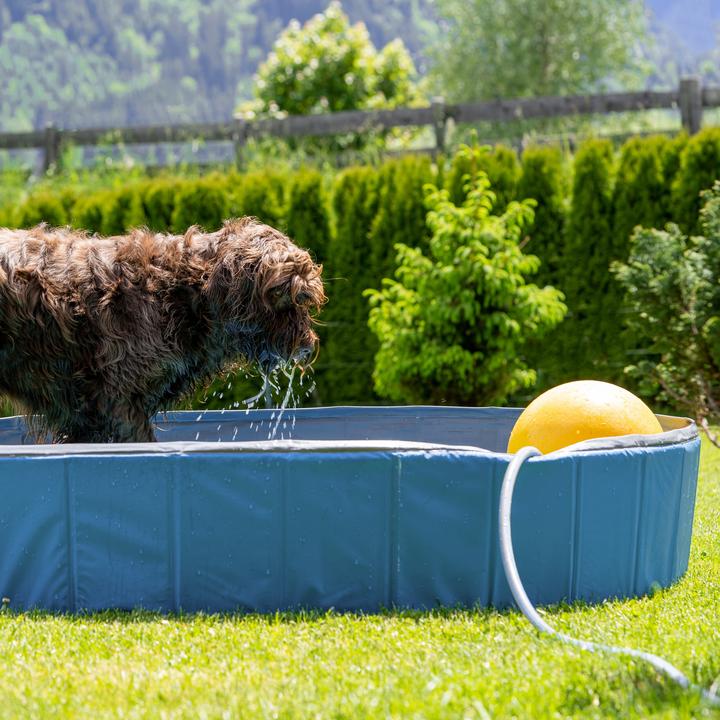 Produktbild Relaxdays Hundepool (Hundepool)