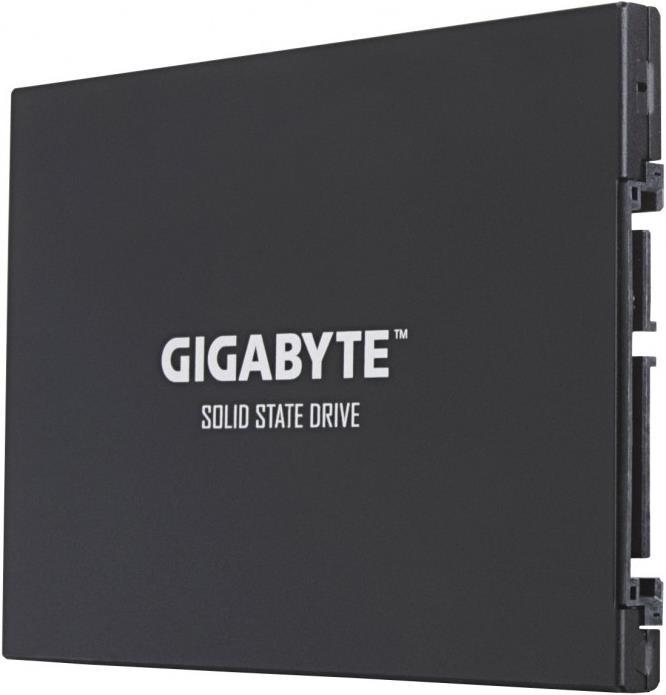 Actual product image Gigabyte GP-GSTFS31120GNTD (120 GB, 2.5")