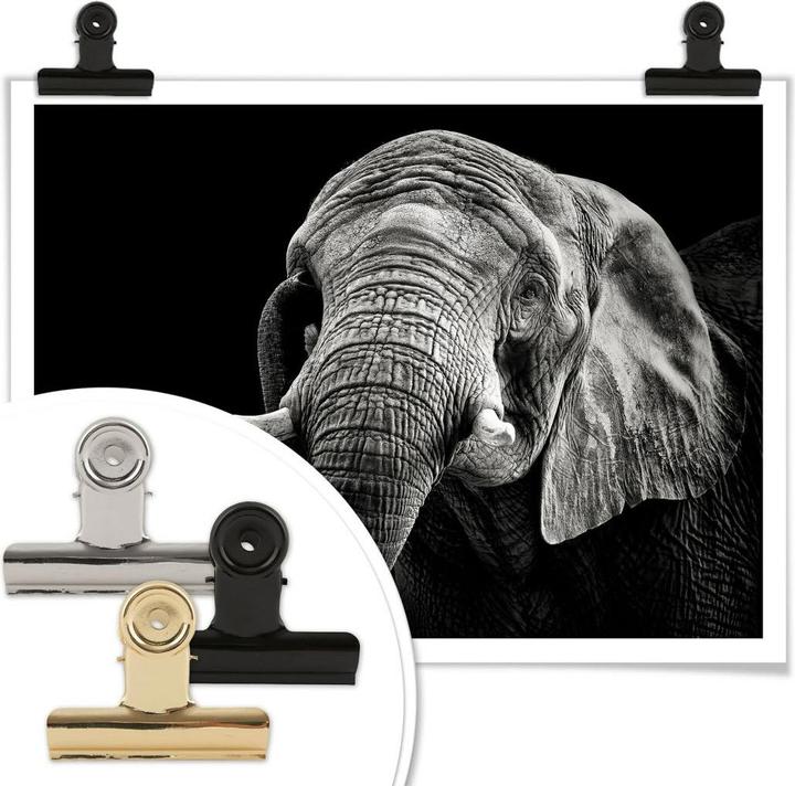 Immagine prodotto Trenddeko L'elefante (50 x 40 cm)