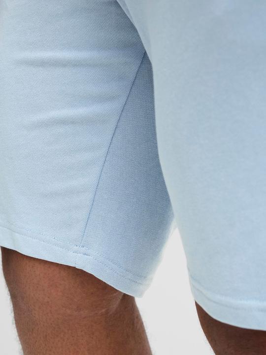 Produktbild Jack & Jones Plus Size Regular Fit Regular Fit Shorts Regular Fit Shorts (42)