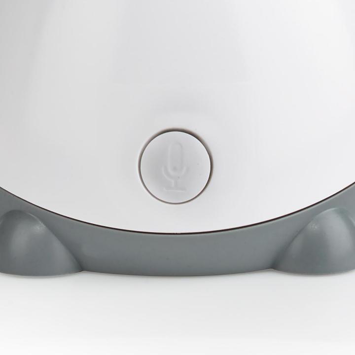 Actual product image Nedis WLAN Smart IP Camera WIFICI30CGY (1920 x 1080 Pixels)
