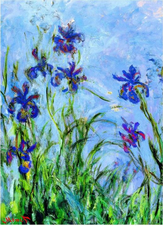 Produktbild Eurographics Schwertlilien von Claude Monet (1000 Teile)