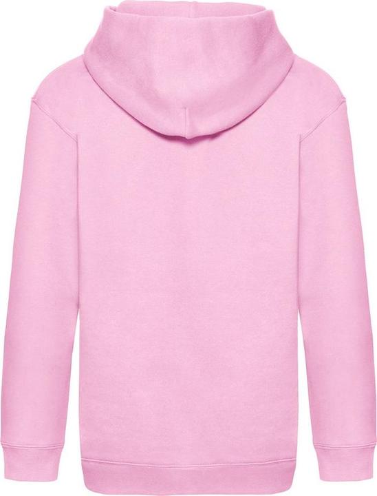 Actual product image Fruit of the Loom Childrens/Kids Premium Hooded Sweatshirt (116)
