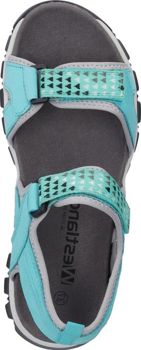Image du produit Westland 25801-TE508 (37)
