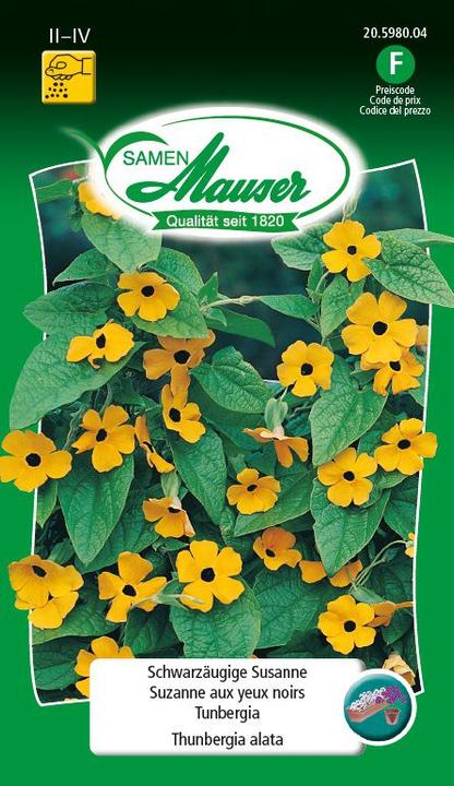 Image du produit Samen Mauser Susanne aux yeux noirs (Graines de plantes)