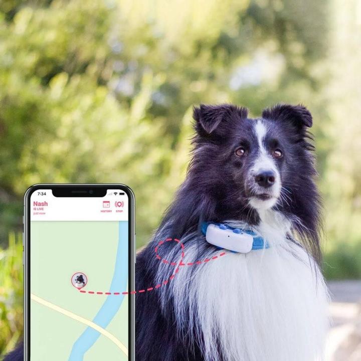 Actual product image Tractive Dog 4 GPS Tracker for Dogs (Cat, Dog, Walks)