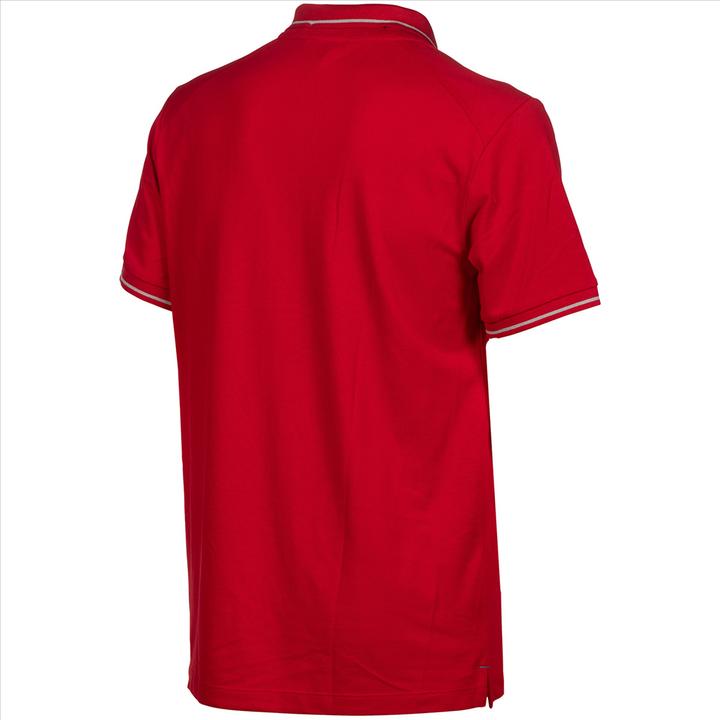 Actual product image Arena Team Poloshirt Solid Cotton (XL)