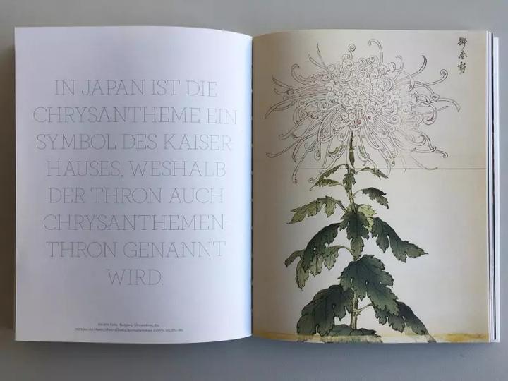 Actual product image Blumen in der Kunst (German, Kendra Wilson, 2019)