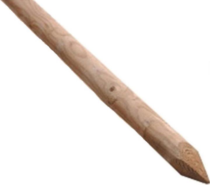 Actual product image Jensen Round softwood tree stick