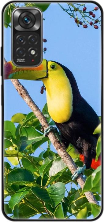 Tucan