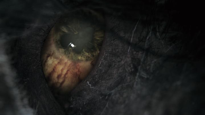 Actual product image Sony Bloodborne GOTY Edition (PS4, Multilingual)