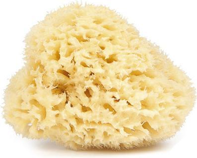 Najel Naturschwamm 9-10 cm