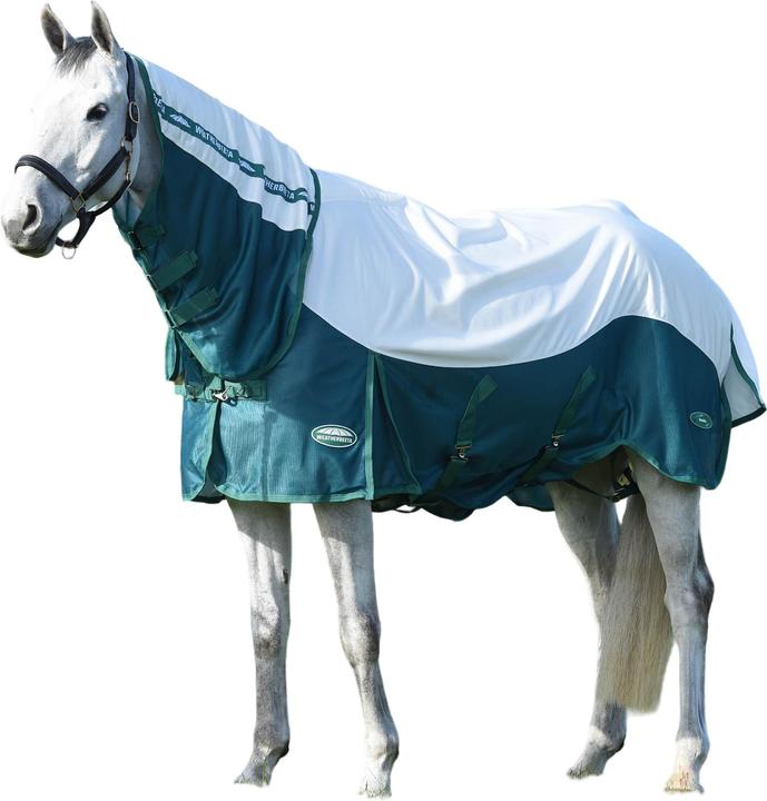 Actual product image Weatherbeeta Green-Tec Combo Neck Airflow Horse Fly Rug (168 cm)
