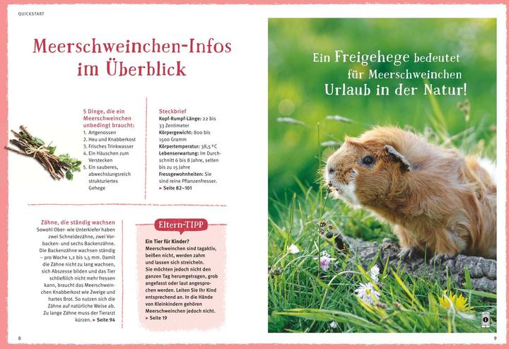 Produktbild Neugierige Meerschweinchen - So fühlen sie sich wohl (Deutsch, Immanuel Birmelin, 2015)