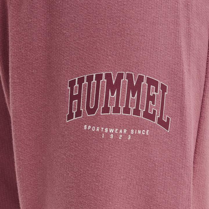 Image du produit hummel Pantalon Fast Apple (56)