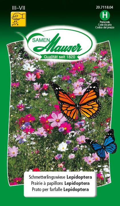 Produktbild Samen Mauser Schmetterlingswiese Lepidoptera (Rasensamen)