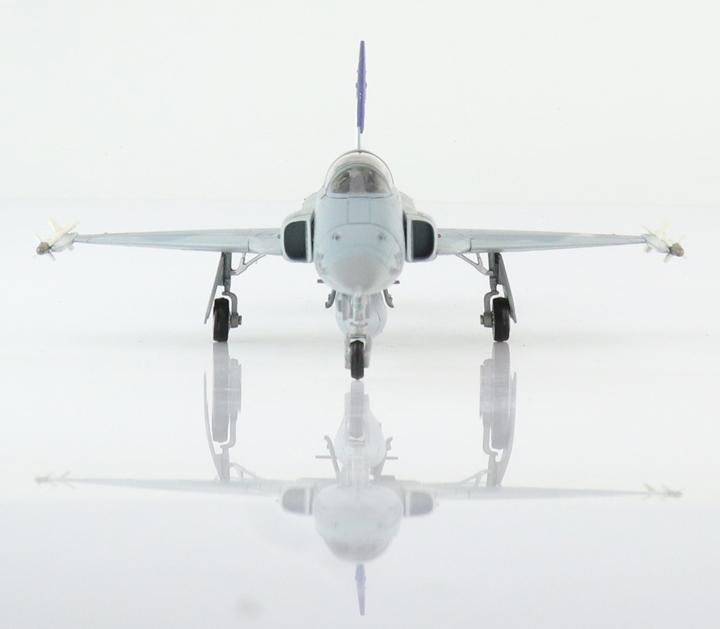 Actual product image Hobby Master Tiger F-5E Airbase Sion 2017 metal aeroplane model 1:72 by with some add-on parts