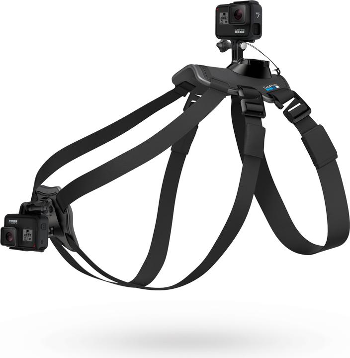 Image du produit GoPro Fetch harnais pour chien (Héros 7, Universel, Action Osmo)