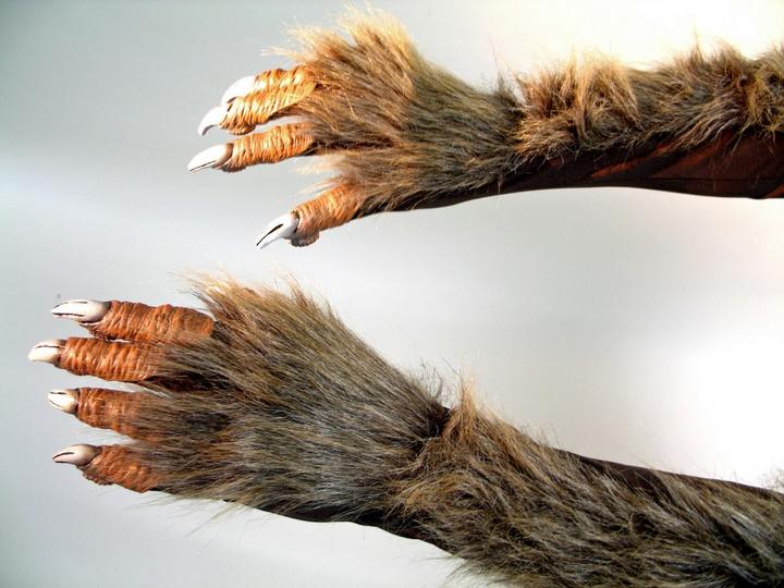 Image du produit Festartikel Müller Mains griffes de loup-garou avec poils en peluche