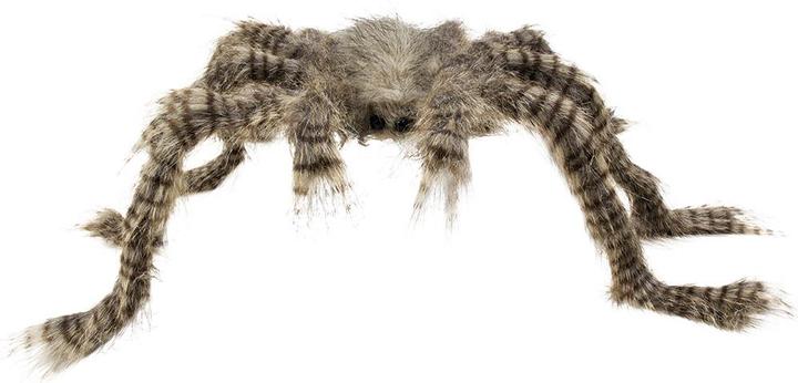 Produktbild Boland Harige Spinne