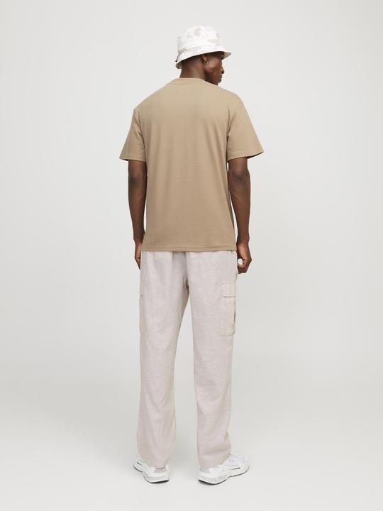 Actual product image Jack & Jones Jpstkarl Jjsummer Cargo Sn Styd (S)