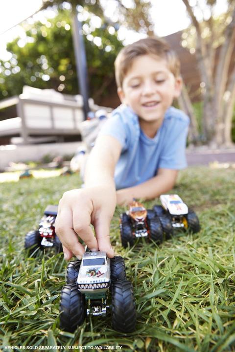 Actual product image Hot Wheels monster truck (assorted)
