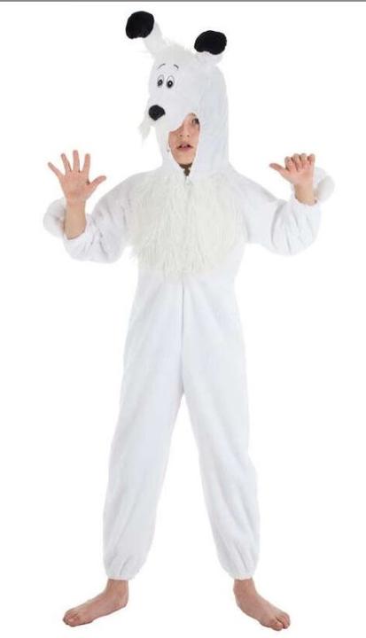 Image du produit Chaks Costume d'enfant Idéfix (140)