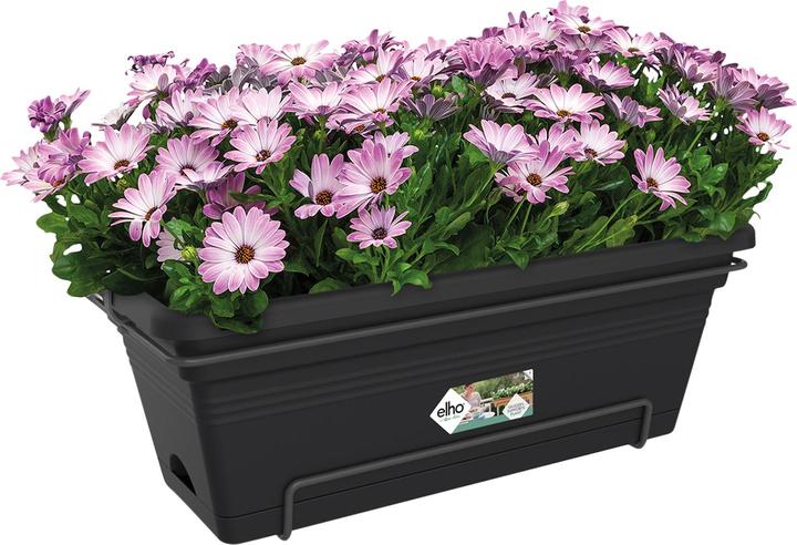 Produktbild Elho Balkkonkistchen All-In-One (34 cm)