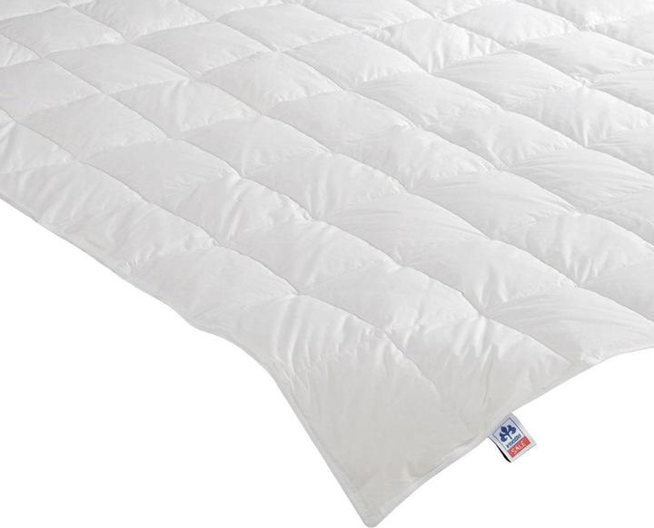 Actual product image Irisette Nora light down quilt (360 g, 200 x 200 cm)